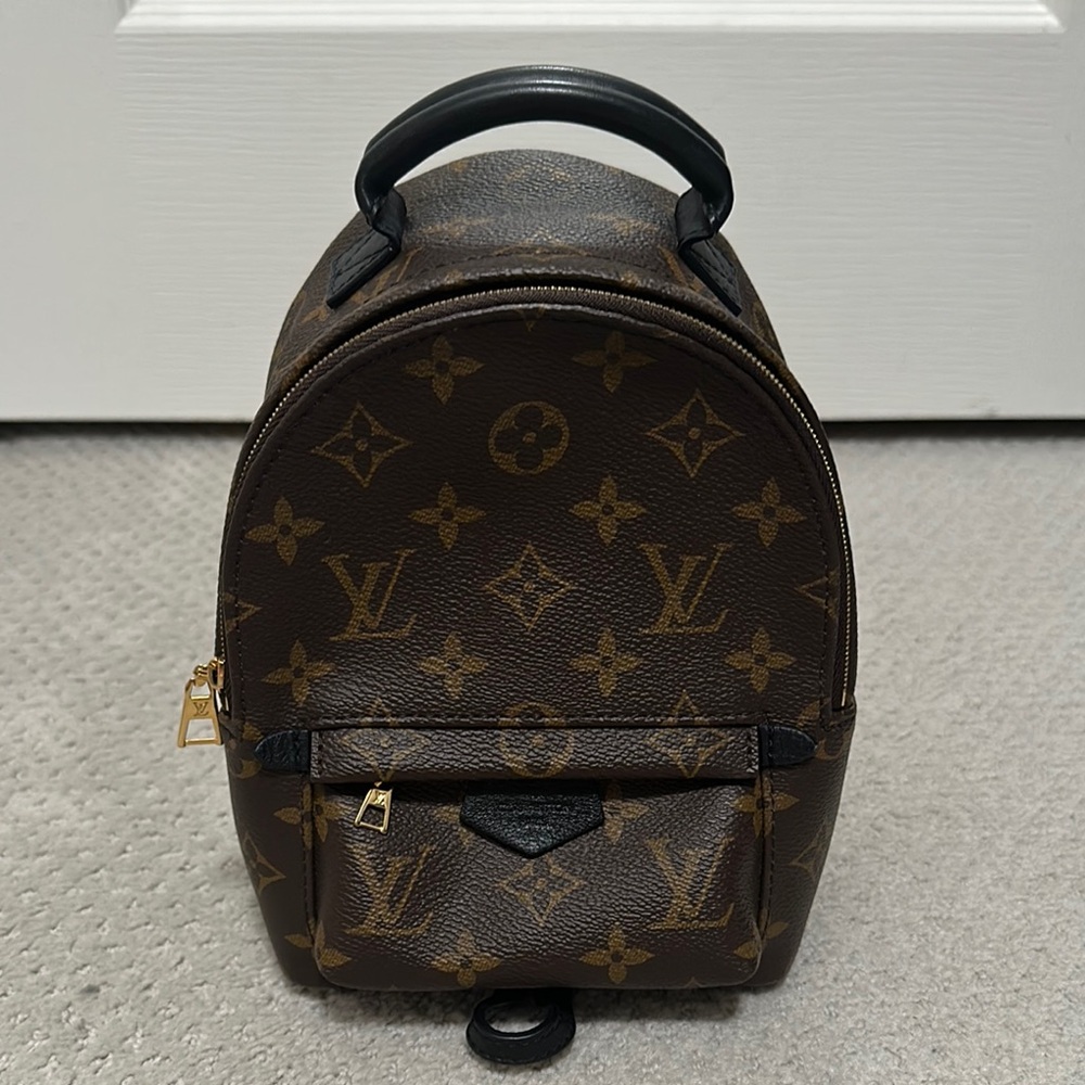 Louis Vuitton Monogram Palm Springs Mini Backpack